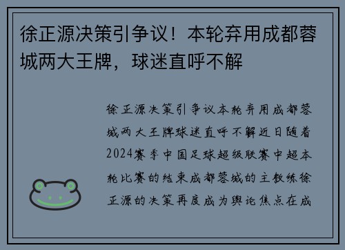 徐正源决策引争议！本轮弃用成都蓉城两大王牌，球迷直呼不解